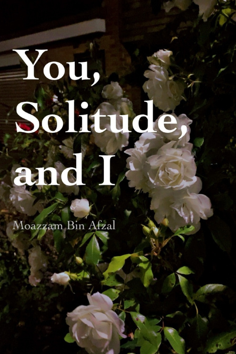 Kniha You, Solitude & I Moazzam Bin Afzal
