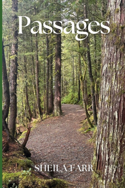 Kniha Passages Ruth Babel
