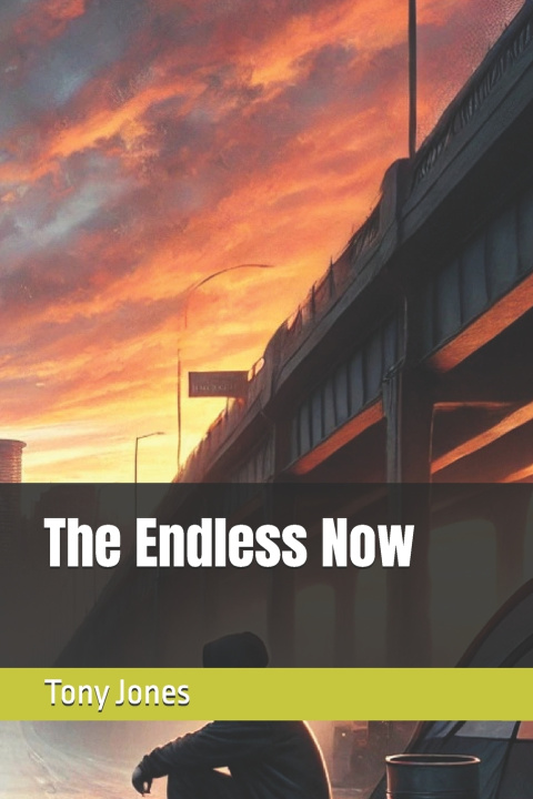 Kniha The Endless Now Tony Jones