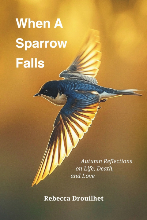 Könyv When A Sparrow Falls Rebecca Drouilhet