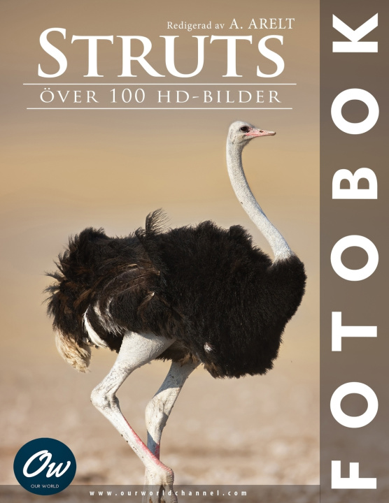 Kniha Struts A Arelt