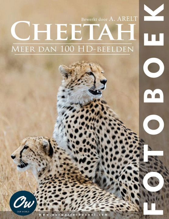 Kniha Cheetah A Arelt