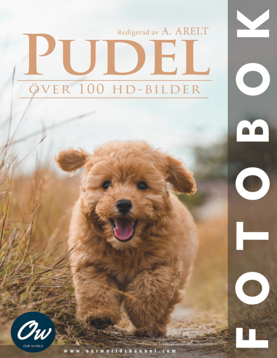 Kniha Pudel A Arelt