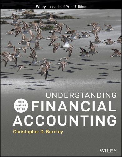 Kniha Understanding Financial Accounting Burnley
