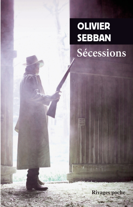 Kniha Sécessions Sebban