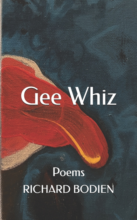 Kniha Gee Whiz richard bodien
