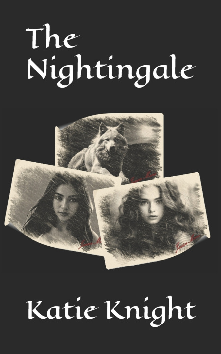 Boek The Nightingale Katie Knight