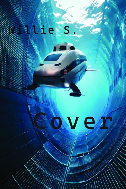 Kniha Cover Willie S.