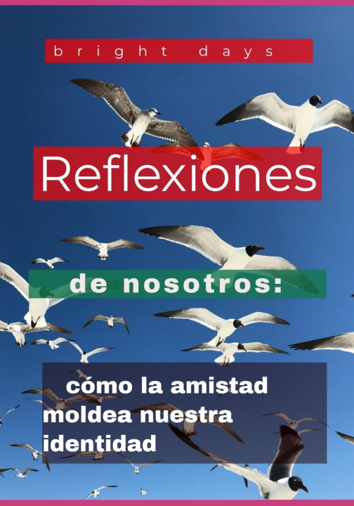 Kniha Reflexiones de nosotros bright days