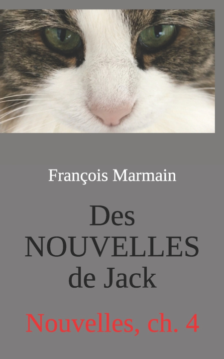 Libro Des NOUVELLES de Jack François Marmain