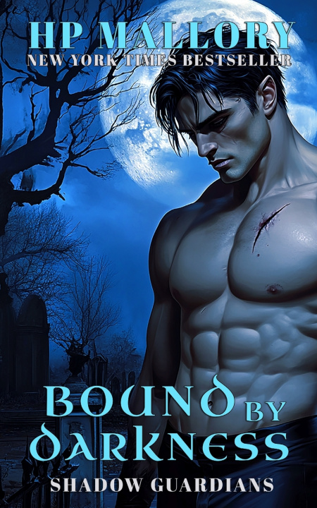 Kniha Bound By Darkness HP Mallory