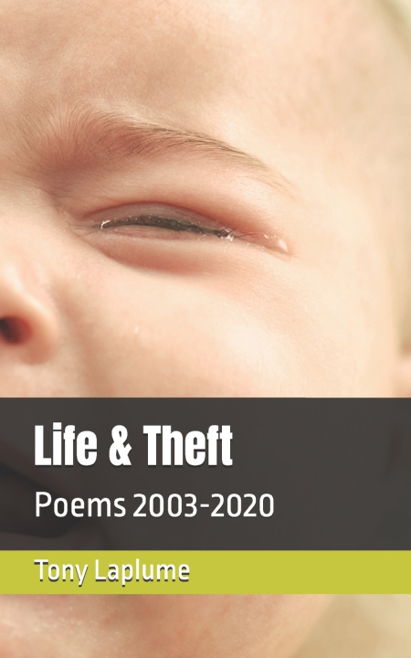 Kniha Life & Theft Tony Laplume