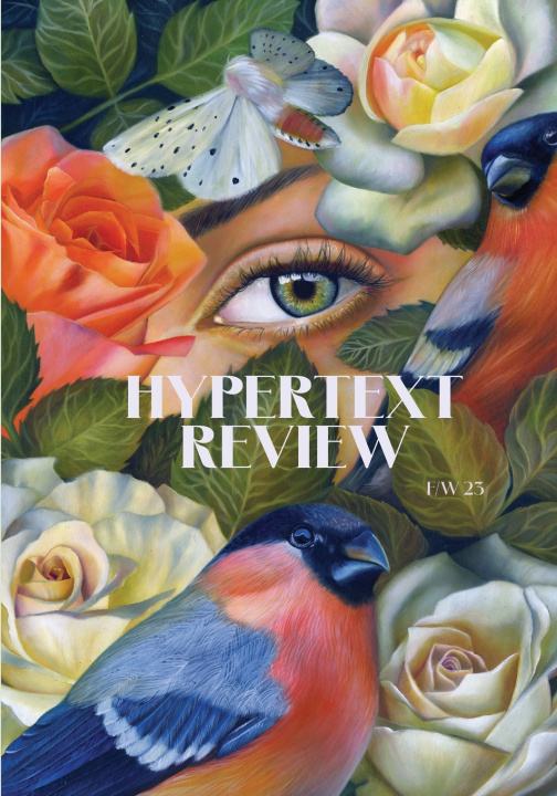 Kniha Hypertext Review Christine Maul Rice