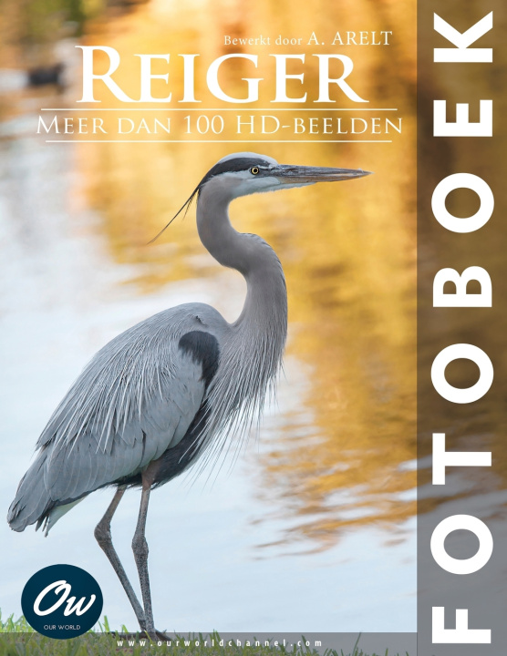 Kniha Reiger A Arelt