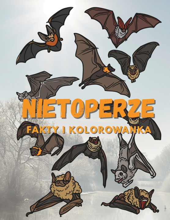 Book Nietoperze Steven Book
