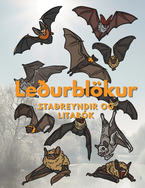 Kniha Leðurblökur Steven Book