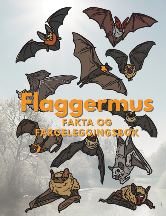 Könyv Flaggermus Steven Book