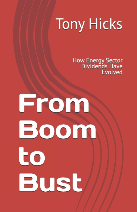 Kniha From Boom to Bust Tony Hicks