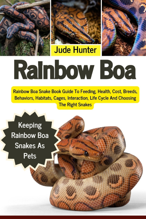 Kniha RAINBOW BOA Jude Hunter