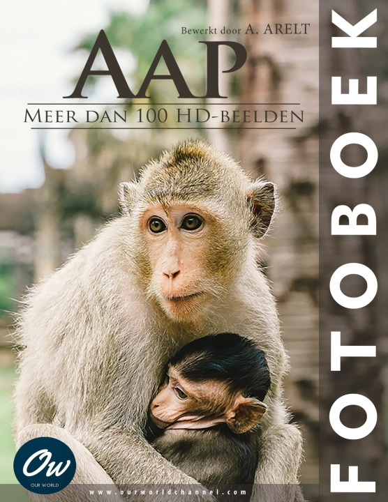 Könyv Aap A Arelt