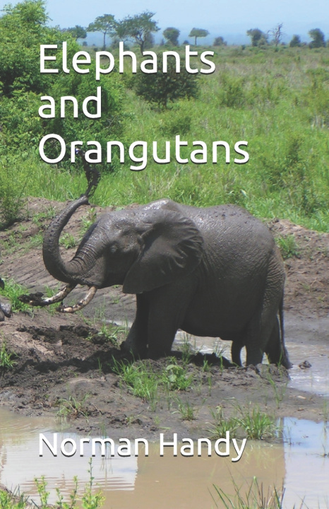 Könyv Elephants and Orangutans Norman Handy