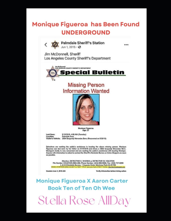 Kniha Monique Figueroa has Been Found Underground Stella Rose AllDay
