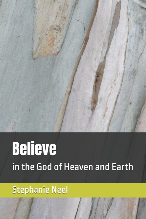 Kniha Believe Stephanie Neel