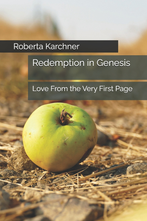 Kniha Redemption in Genesis Roberta Karchner