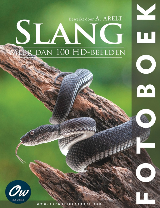 Kniha Slang A Arelt