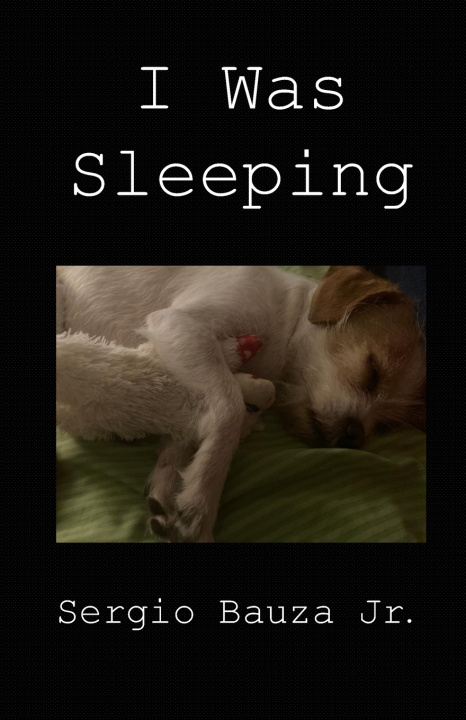 Книга I Was Sleeping Sergio Bauza Jr