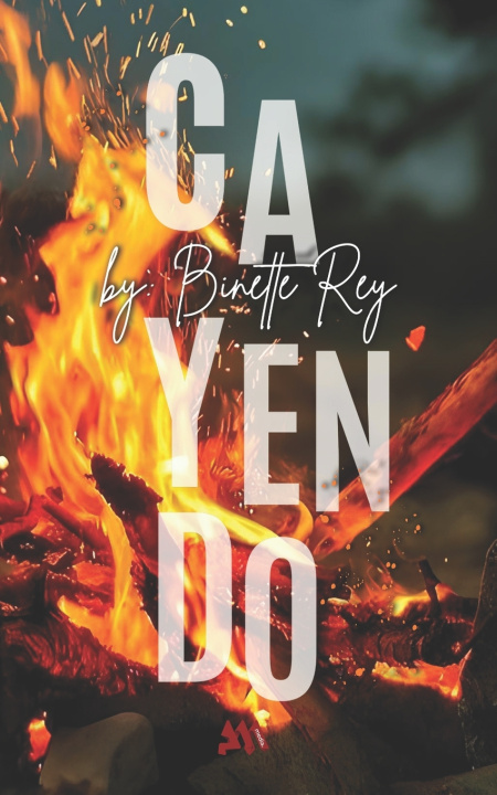 Kniha Cayendo Binette Rey