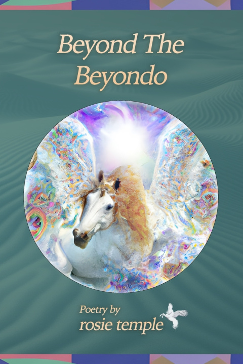 Kniha Beyond The Beyondo rosie temple