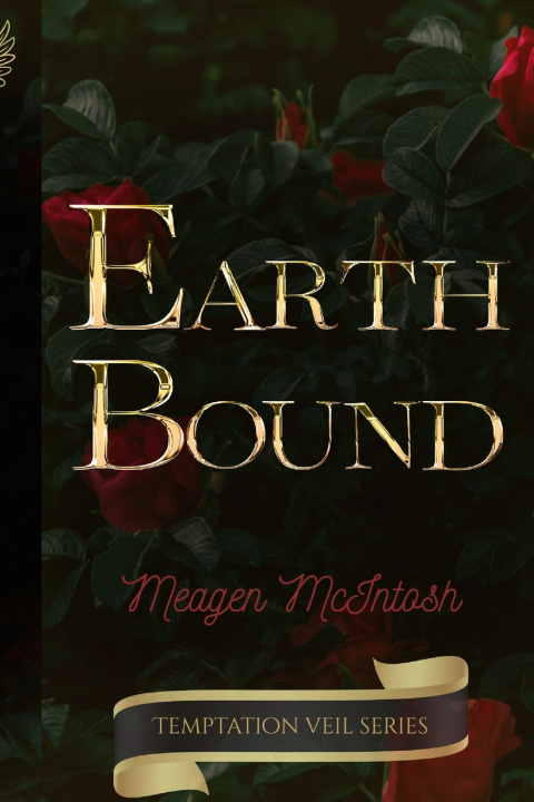 Kniha Earthbound Meagen McIntosh