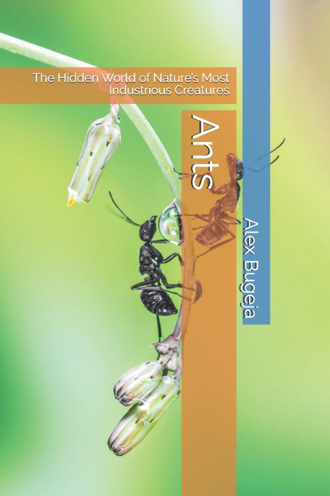 Könyv Ants Alex Bugeja