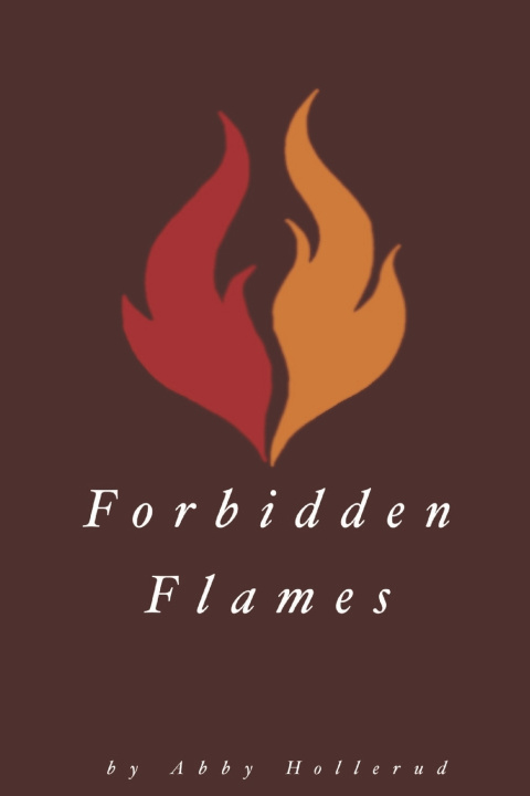 Kniha Forbidden Flames Abby Hollerud