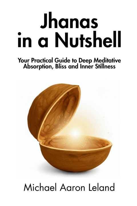 Kniha Jhanas in a Nutshell Michael Aaron Leland