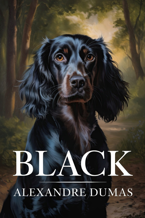 Kniha Black Alexander Dumas