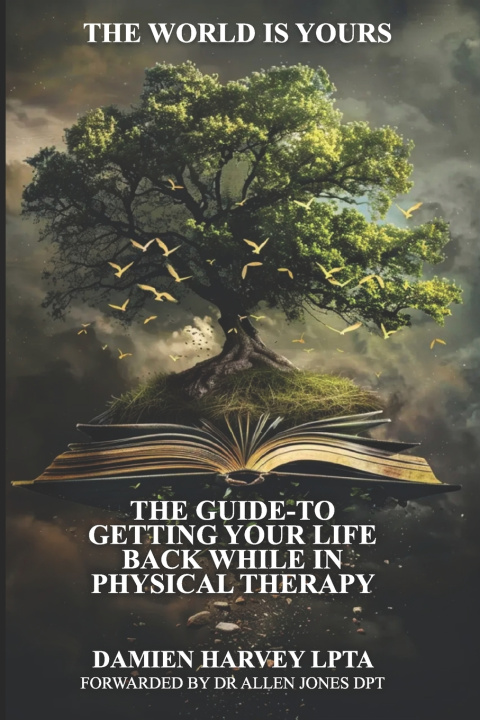 Book The World Is Yours Damien Harvey