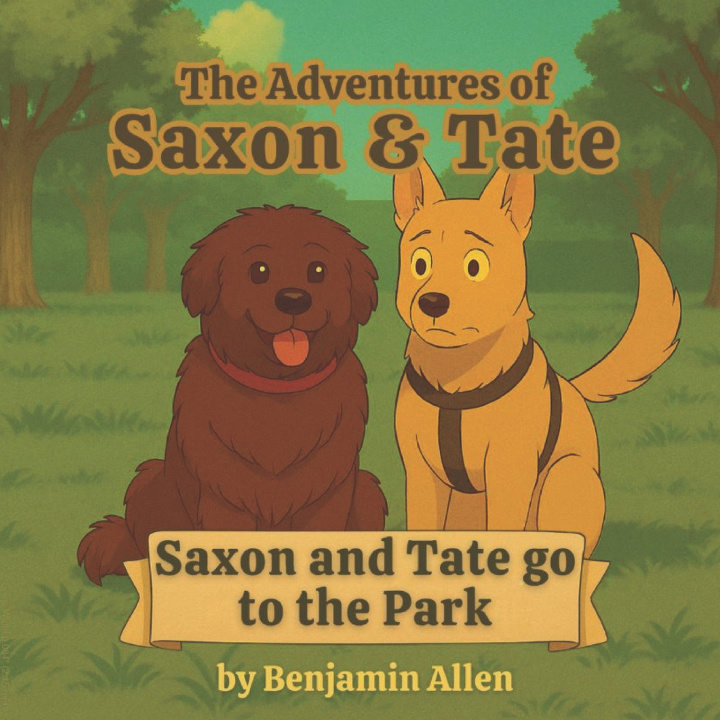 Kniha Saxon and Tate Go to the Park Benjamin Allen