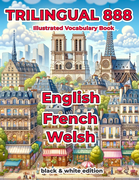 Kniha Trilingual 888 English French Welsh Illustrated Vocabulary Book Sylvie Loiselle