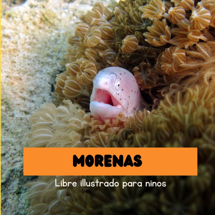 Kniha Morenas Jordi Balda