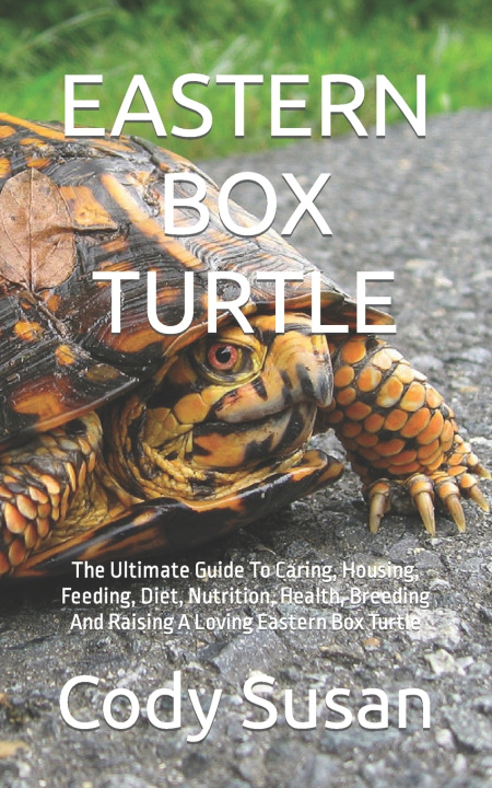 Könyv EASTERN BOX TURTLE Cody Susan