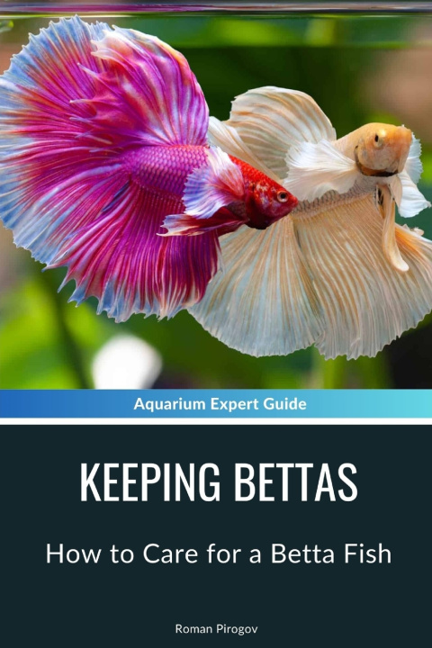 Kniha Keeping Bettas Roman Pirogov