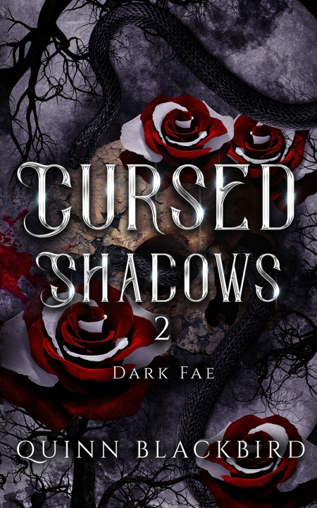 Könyv Cursed Shadows 2 (The Dark Fae) Quinn BLACKBIRD