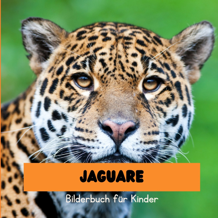 Kniha Jaguare Dorian Amansi