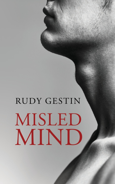 Könyv Misled Mind Rudy Gestin