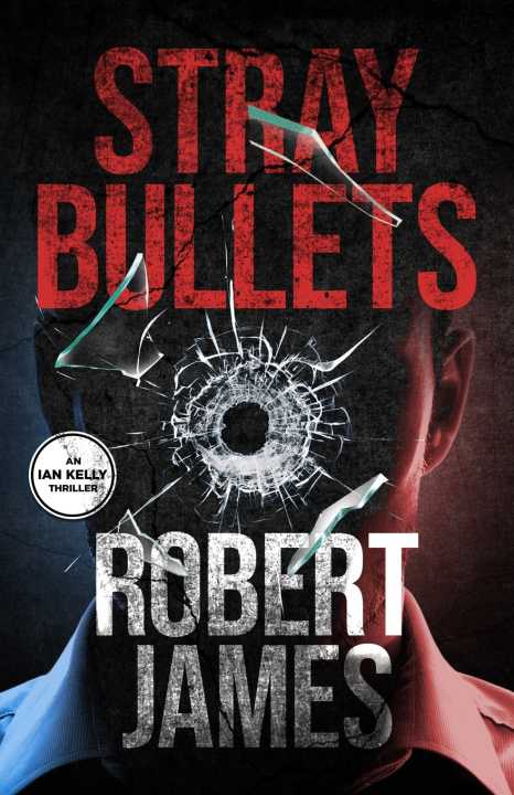 Kniha Stray Bullets Robert James