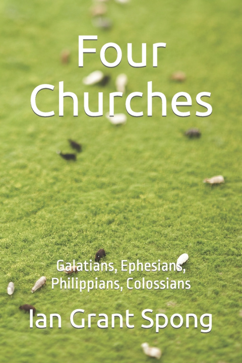 Kniha Four Churches Ian Grant Spong