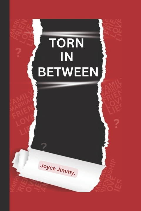 Kniha TORN IN BETWEEN Joyce Jimmy