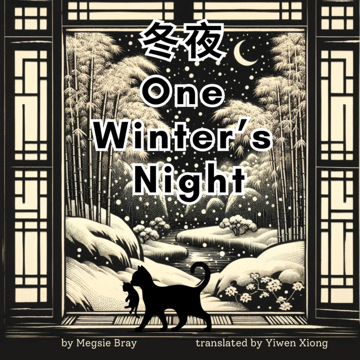 Kniha One Winter's Night Megsie Bray